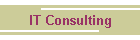 IT Consulting