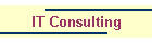 IT Consulting